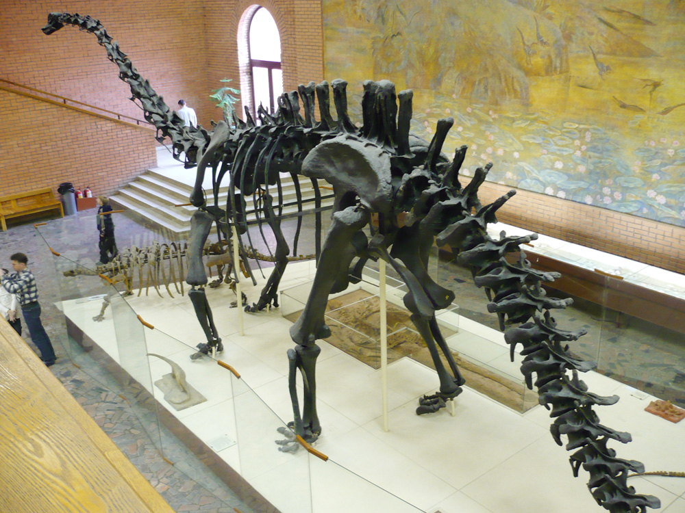 Палеонтологический музей